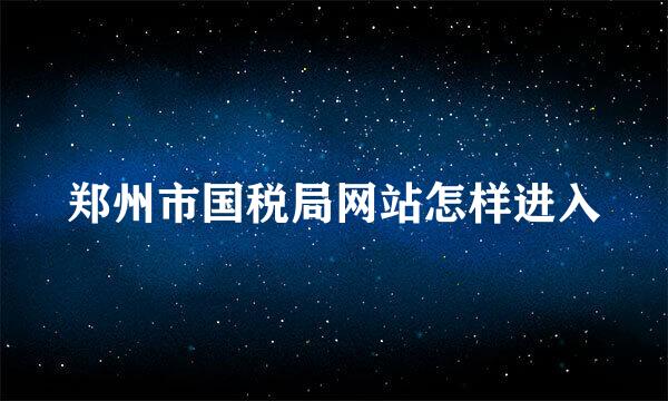 郑州市国税局网站怎样进入