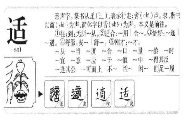 适字怎么组词