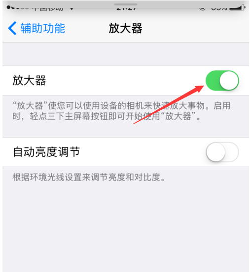 苹果appstore打不开怎么办