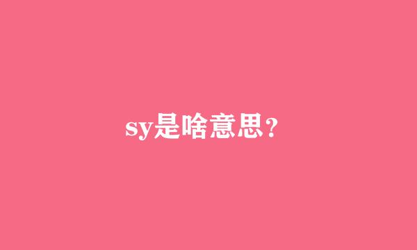 sy是啥意思？