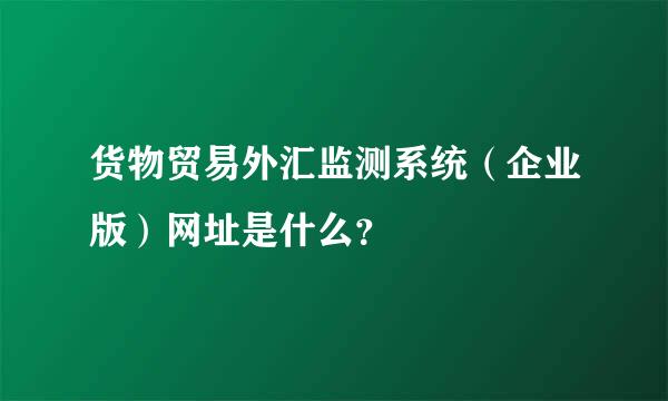 货物贸易外汇监测系统（企业版）网址是什么？