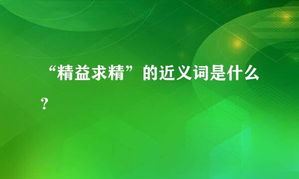 “精益求精”的近义词是什么？