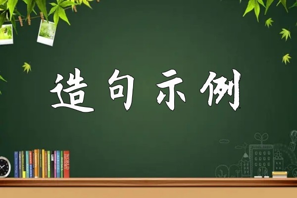 wes是什么意思