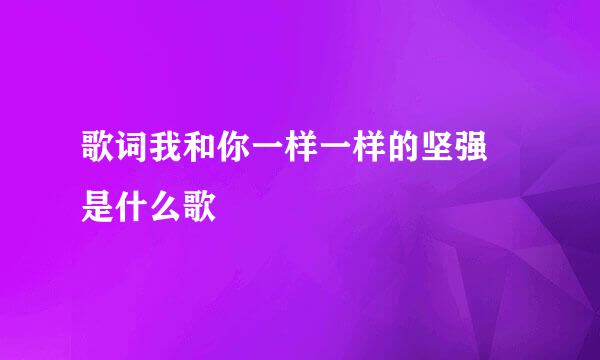 歌词我和你一样一样的坚强 是什么歌