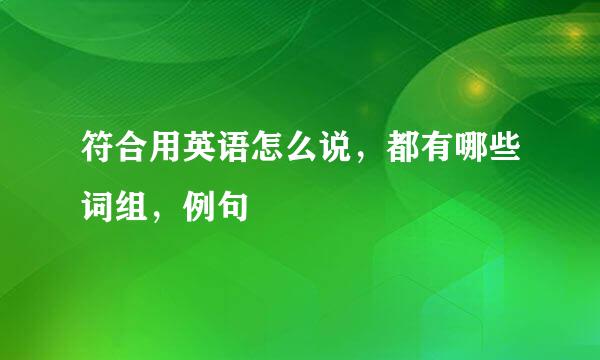 符合用英语怎么说，都有哪些词组，例句