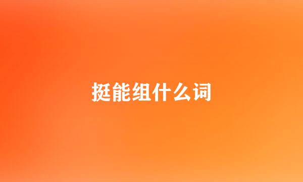 挺能组什么词