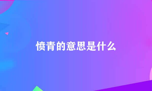 愤青的意思是什么