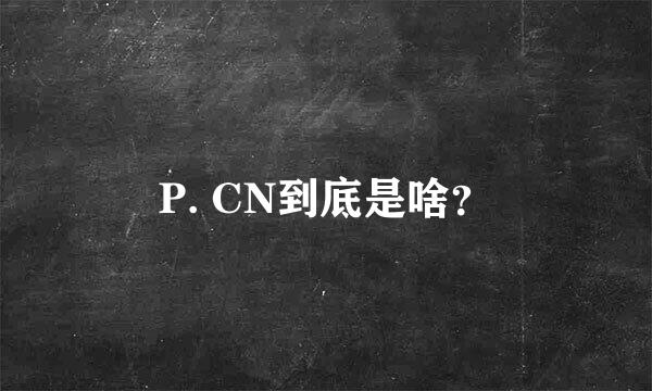 P. CN到底是啥？