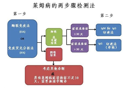 艾薇儿所患的莱姆病究竟是什么病？