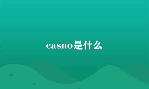 casno是什么