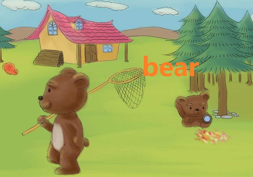 bear的音标是什么？