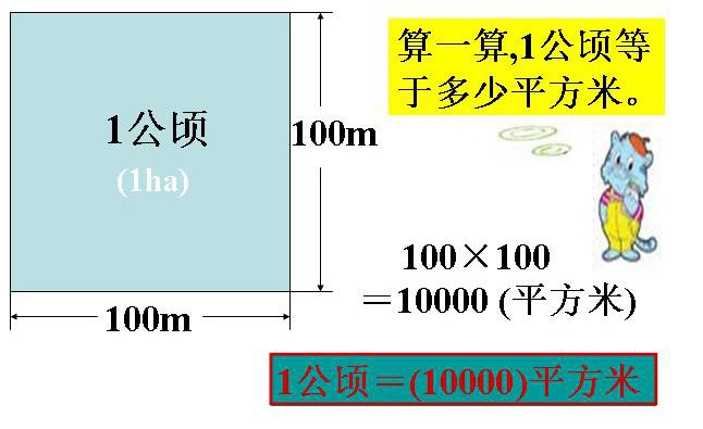 一公顷等于多少米