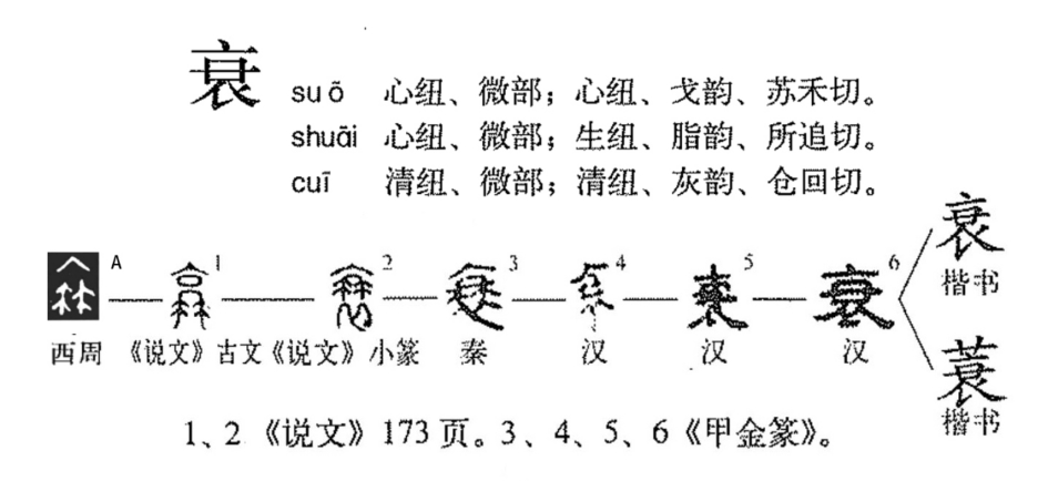 衰的组词有什么呢