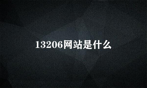 13206网站是什么