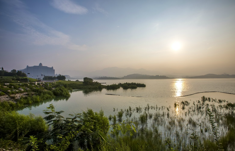 野是什么意思