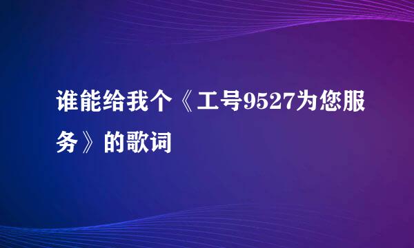 谁能给我个《工号9527为您服务》的歌词