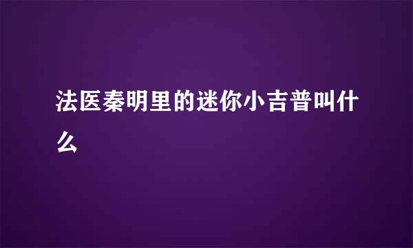 法医秦明里的迷你小吉普叫什么