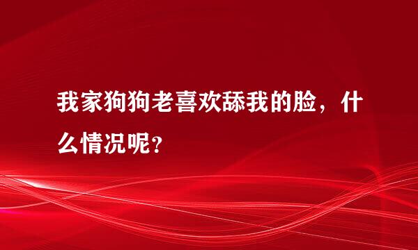 我家狗狗老喜欢舔我的脸，什么情况呢？