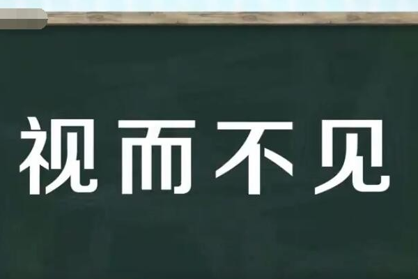 视而不见什么意思