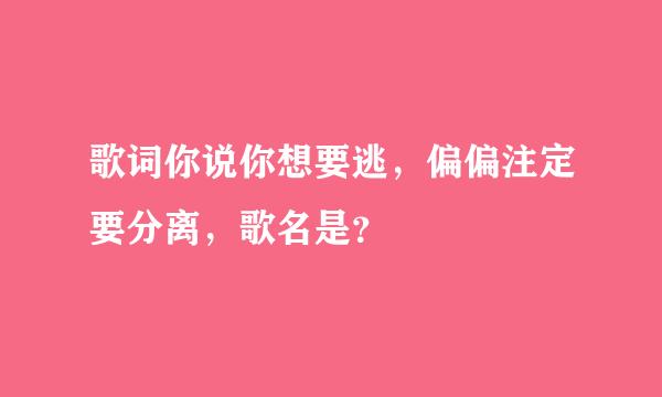 歌词你说你想要逃，偏偏注定要分离，歌名是？