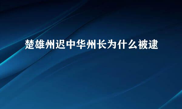 楚雄州迟中华州长为什么被逮