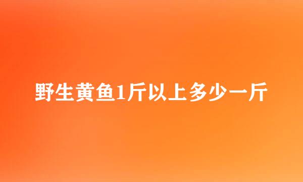 野生黄鱼1斤以上多少一斤