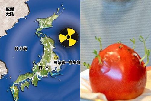 日本将用网红宣传福岛食品，数十万民众反对排海，福岛的食品到底能不能吃？