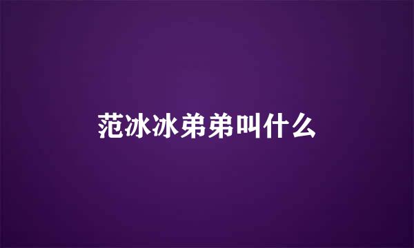 范冰冰弟弟叫什么