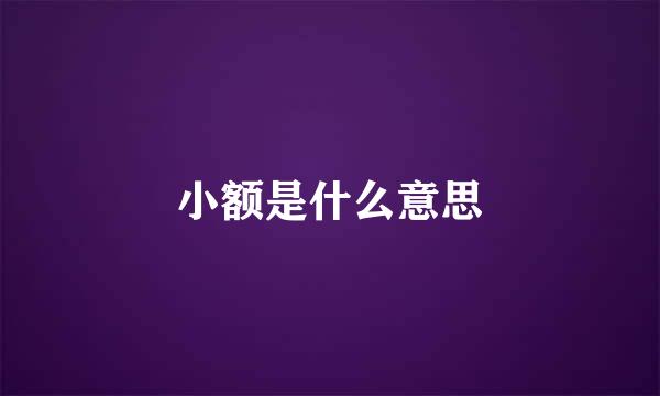 小额是什么意思