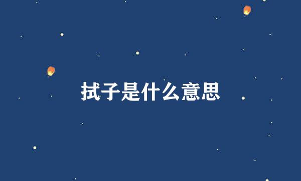 拭子是什么意思