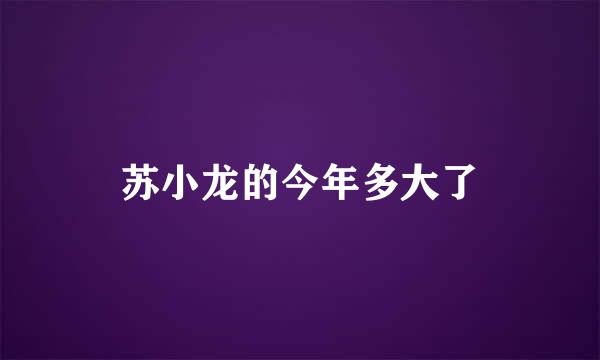 苏小龙的今年多大了