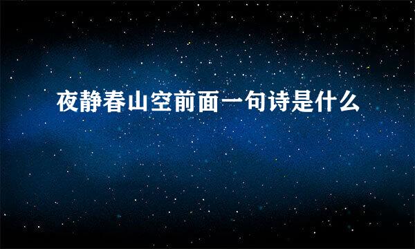 夜静春山空前面一句诗是什么