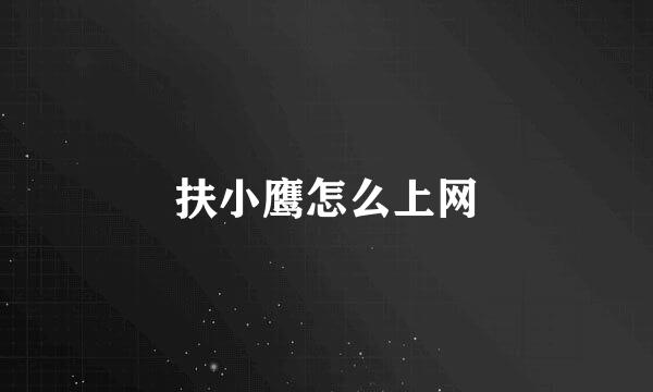 扶小鹰怎么上网