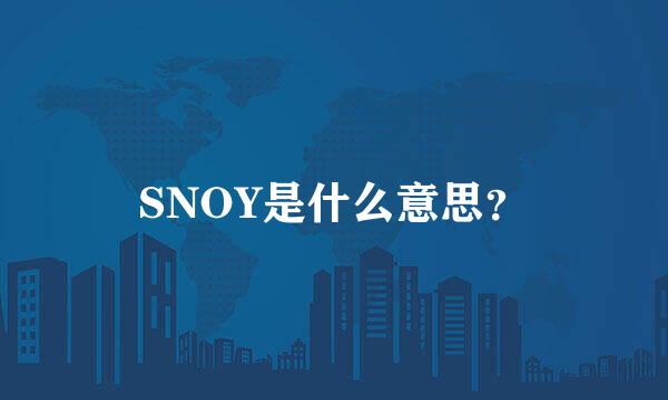 SNOY是什么意思？