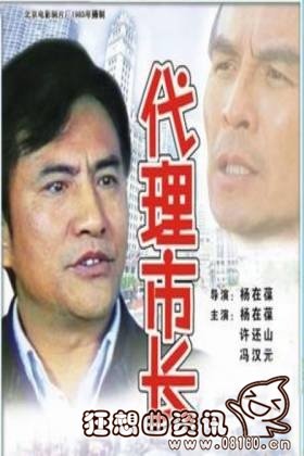 什么是代市长