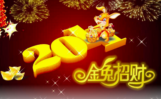 2011年是什么年