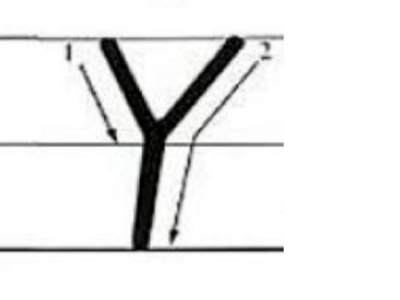 y的正确写法是什么？