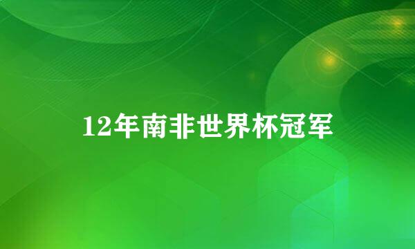 12年南非世界杯冠军