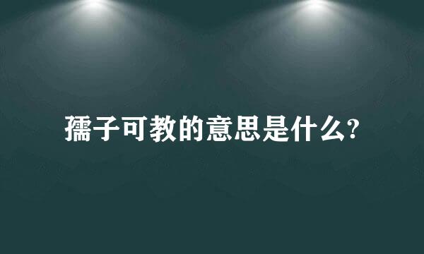 孺子可教的意思是什么?