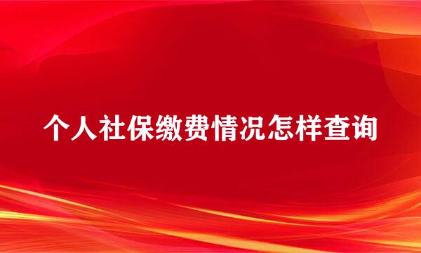 个人社保缴费情况怎样查询