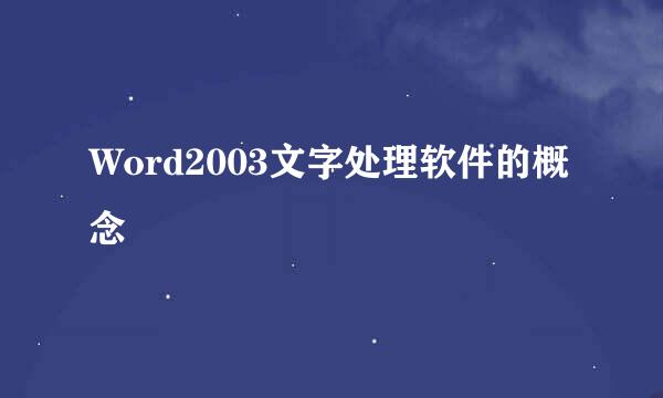 Word2003文字处理软件的概念