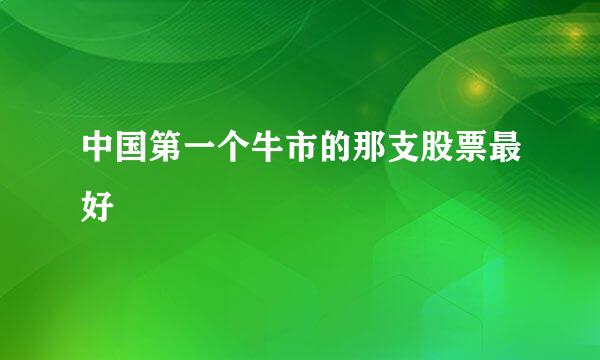 中国第一个牛市的那支股票最好