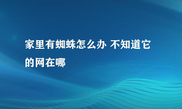 家里有蜘蛛怎么办 不知道它的网在哪