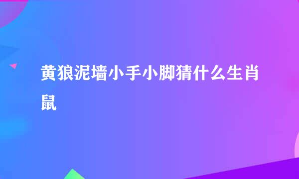 黄狼泥墙小手小脚猜什么生肖鼠