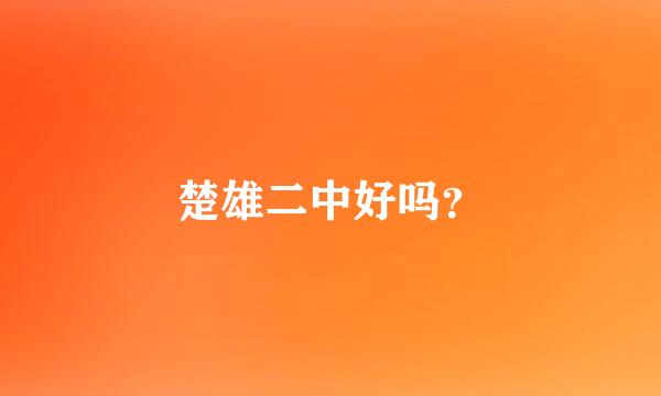 楚雄二中好吗？