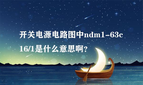 开关电源电路图中ndm1-63c16/1是什么意思啊？