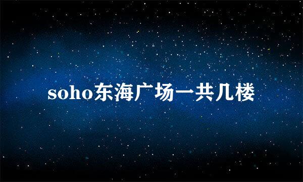 soho东海广场一共几楼