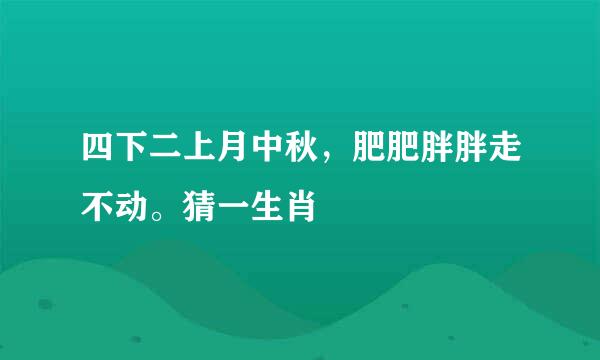 四下二上月中秋，肥肥胖胖走不动。猜一生肖