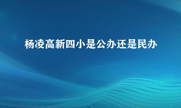 杨凌高新四小是公办还是民办