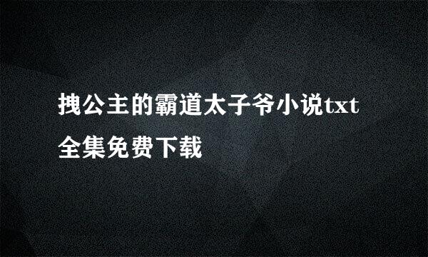 拽公主的霸道太子爷小说txt全集免费下载